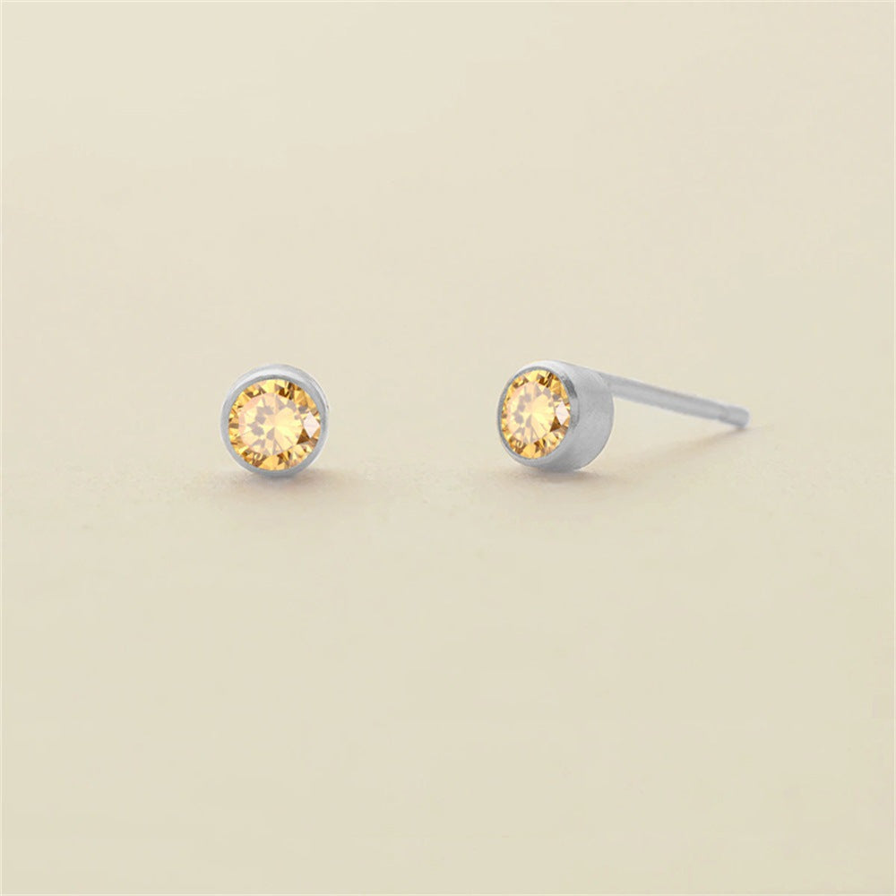 Color Niche Stainless Steel Gold Plated Earrings