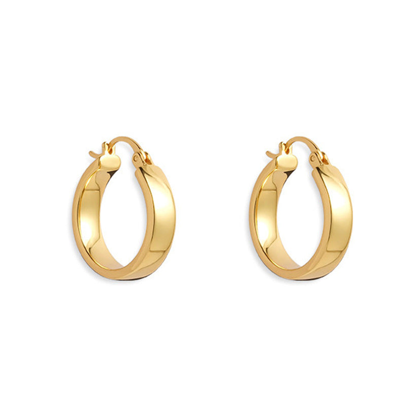 Women's Geometric Glossy For Light Luxury Minority Earrings