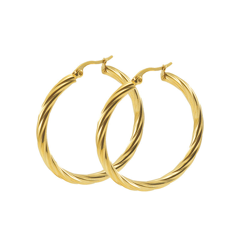 Women's Stainless Steel Twist Fashion Simple Titanium Earrings