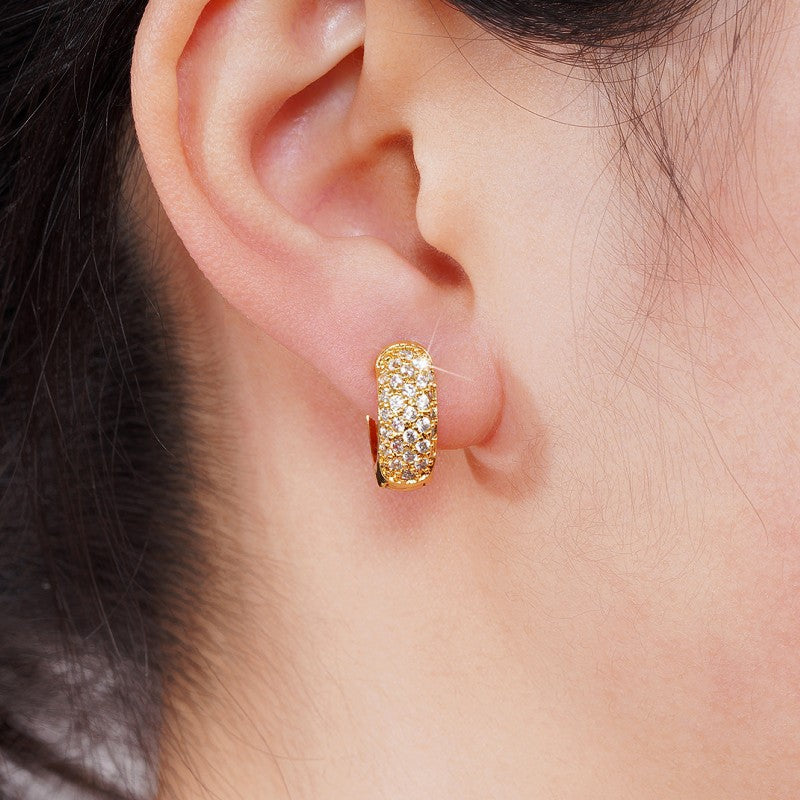 Style Hollow Design Vine Exquisite Ear Earrings