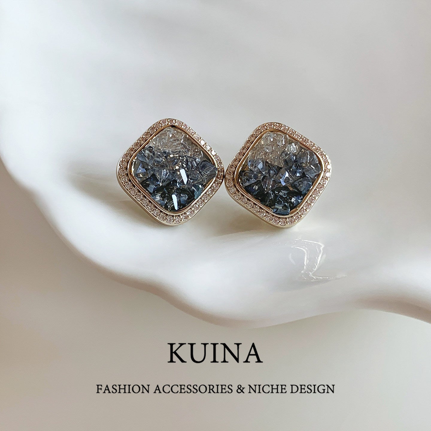 Women's Light Luxury Temperament Elegant Sier Pin Stud Earrings