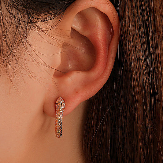 Exaggerated Snake Graceful Personality Pattern Ear Earrings