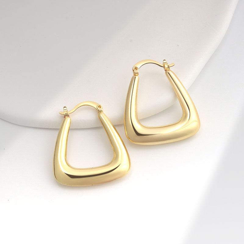 Geometric Metal Niche Design Frosty Style High Stud Earrings
