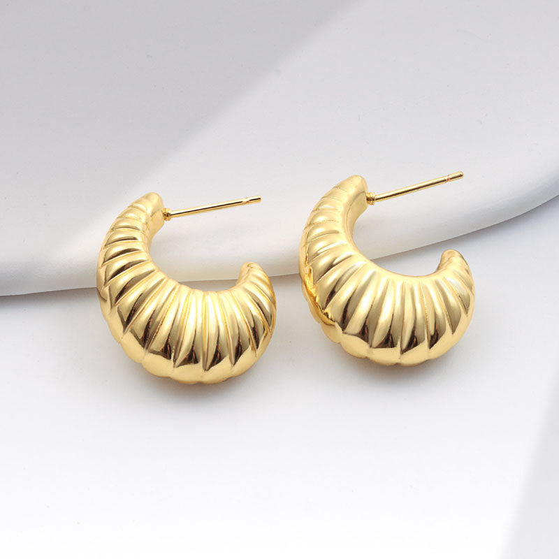 Geometric Metal Niche Design Frosty Style High Stud Earrings