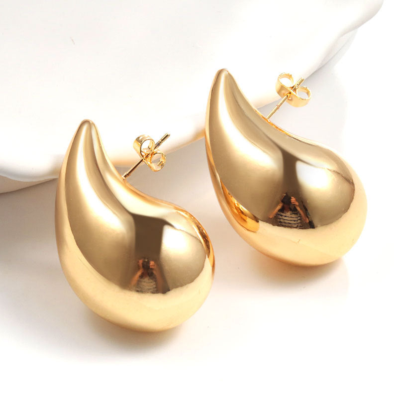 Geometric Metal Niche Design Frosty Style High Stud Earrings