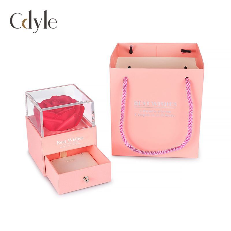Cool Box Packaging Personalized Gift Bag Earrings
