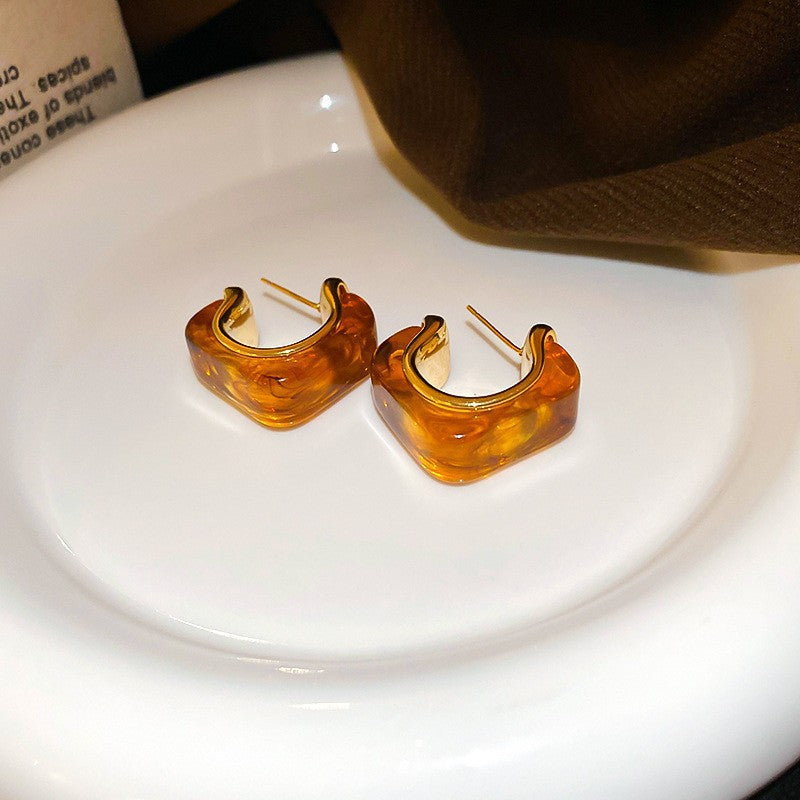 Women's Needle Geometric Irregular Resin Fashionable Retro Earrings