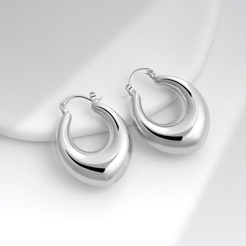 Geometric Metal Niche Design Frosty Style High Stud Earrings