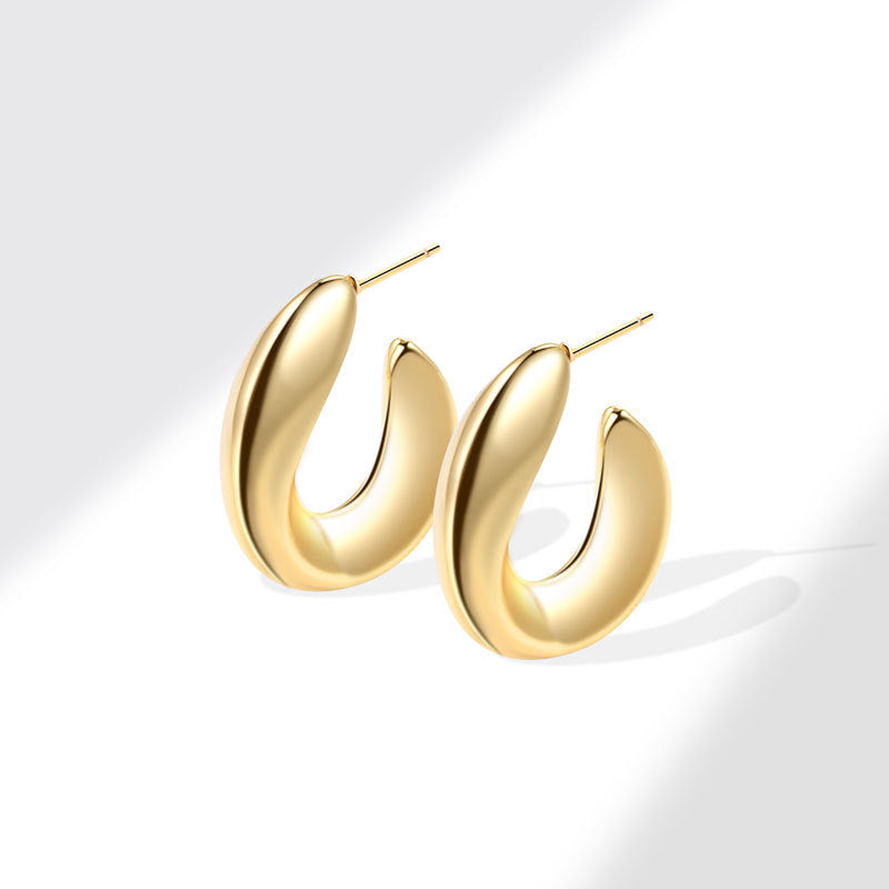 Geometric Metal Niche Design Frosty Style High Stud Earrings