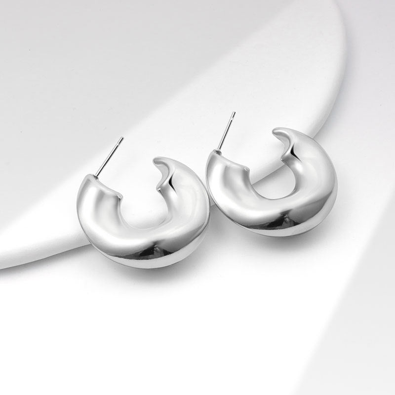 Geometric Metal Niche Design Frosty Style High Stud Earrings