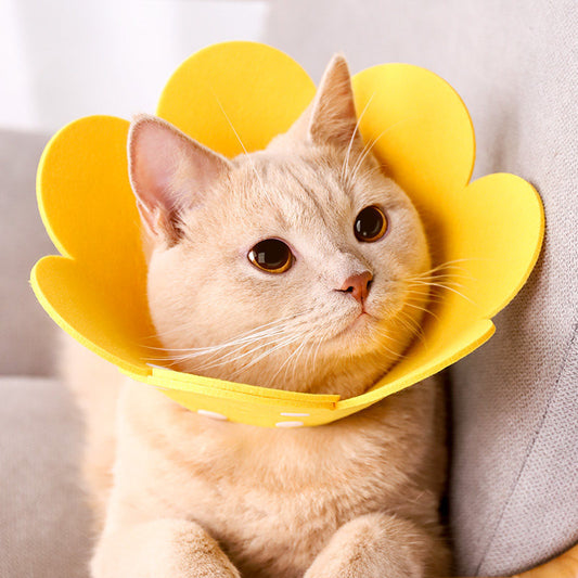 Elizabeth Cat Sterilization Head Cover Dog Scarf Pet Collar